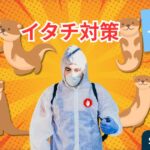 イタチ対策