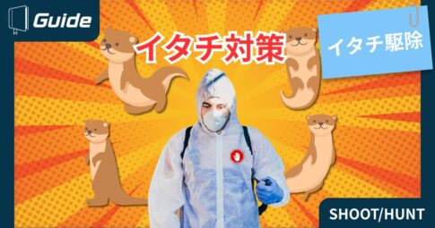 イタチ対策