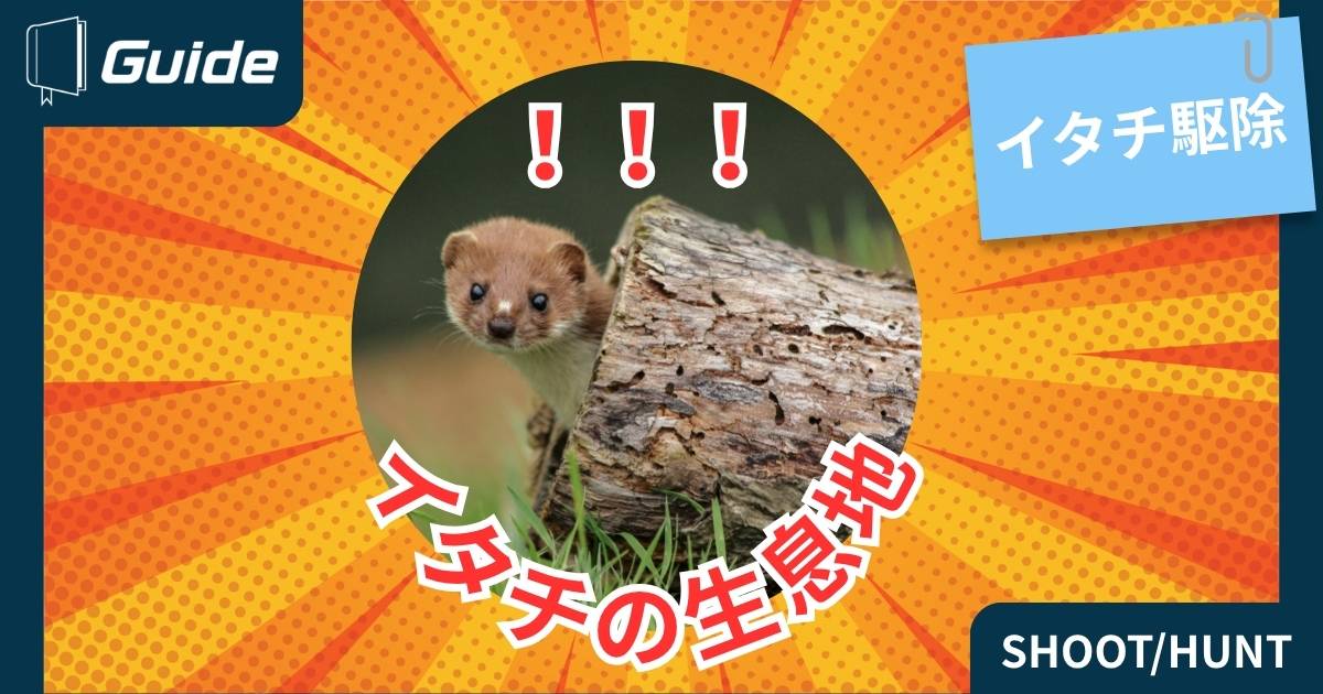 イタチの生息地