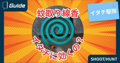 イタチ駆除に蚊取り線香は効くの？