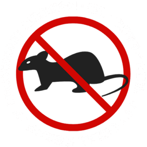 イタチ情報が満載！！