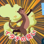 イタチの臭いについて徹底解説