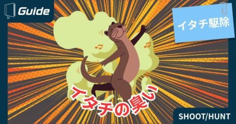 イタチの臭いについて徹底解説
