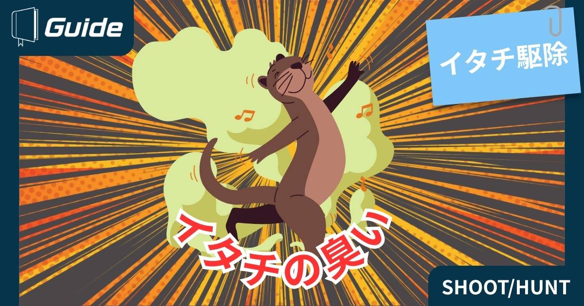 イタチの臭いについて徹底解説